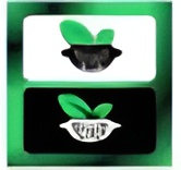 Protocolo Cetogênico Orgânico